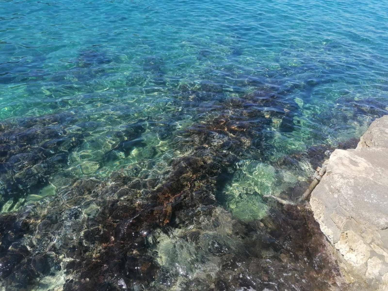Apartmani Lux Sea อัตเจฮะห์ ภายนอก รูปภาพ
